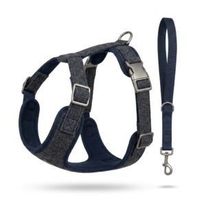ComfortFit Dog Harness & Leash